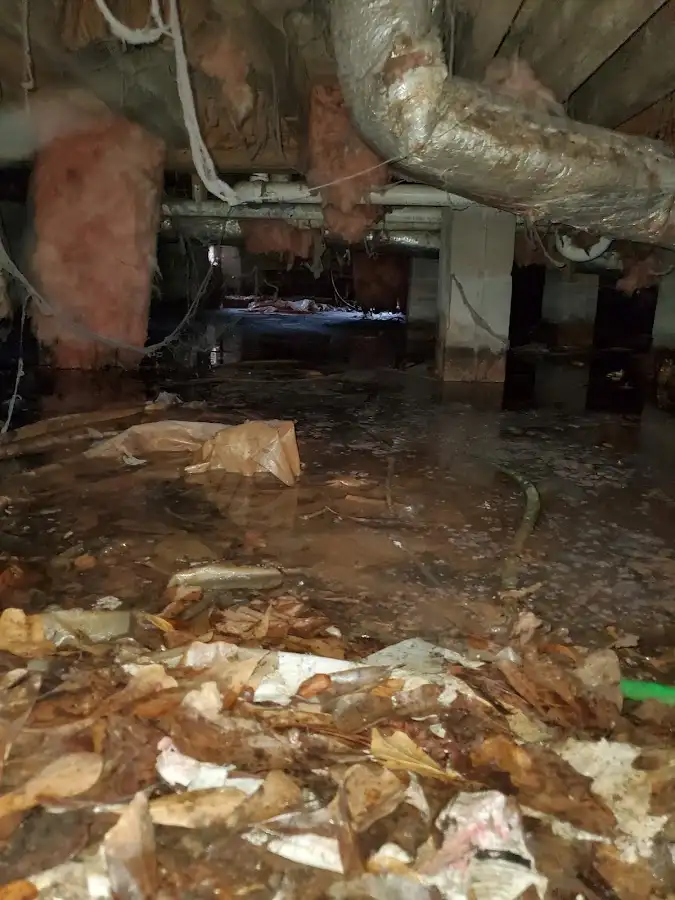 Crawl space flood assessment for Leak Detection & Repair in East Allen
