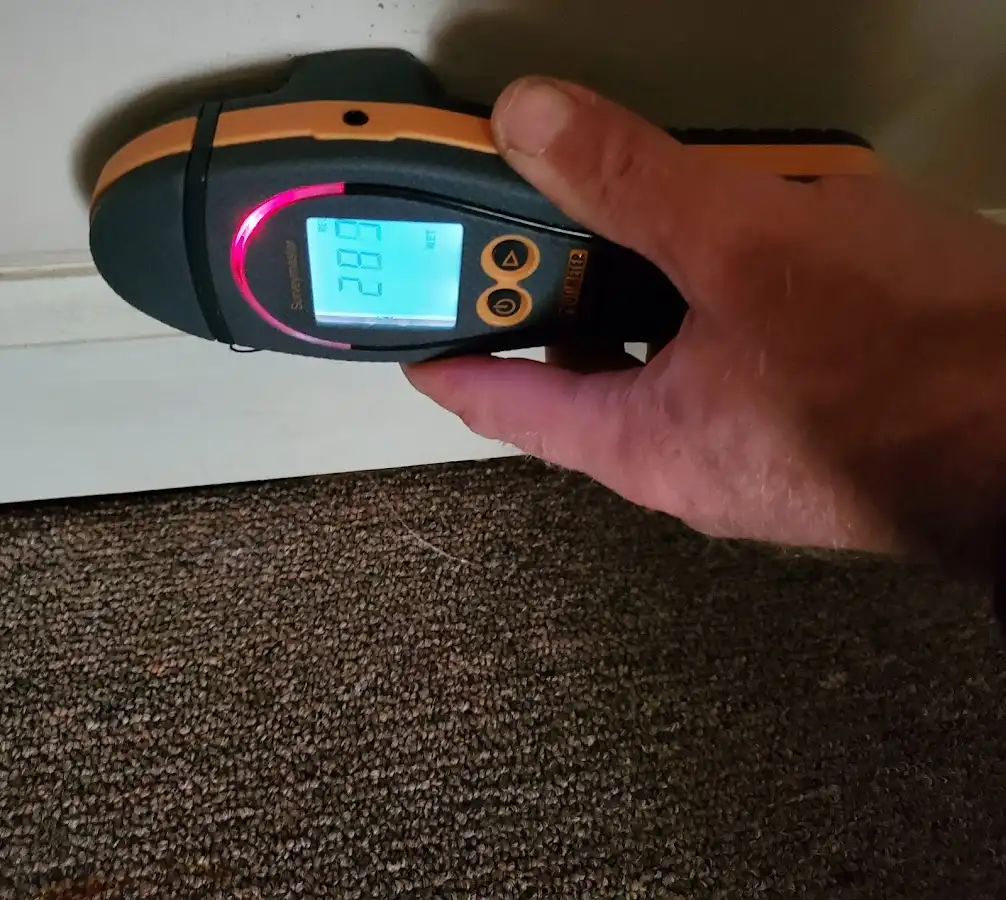 Moisture detection at baseboard during Sewage Cleanup & Sanitation in East Allen